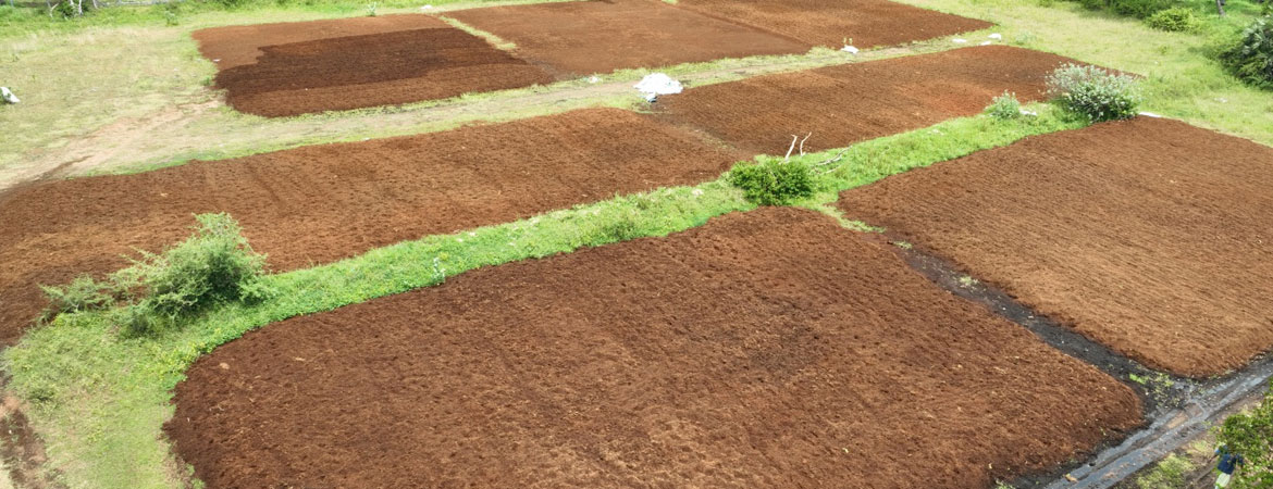 Cocopeat Low EC vs High EC