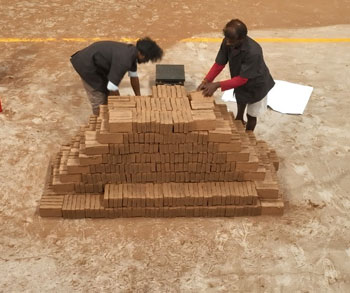 How 650g Cocopeat Briquettes Make Gardening Easier and Eco-Friendly