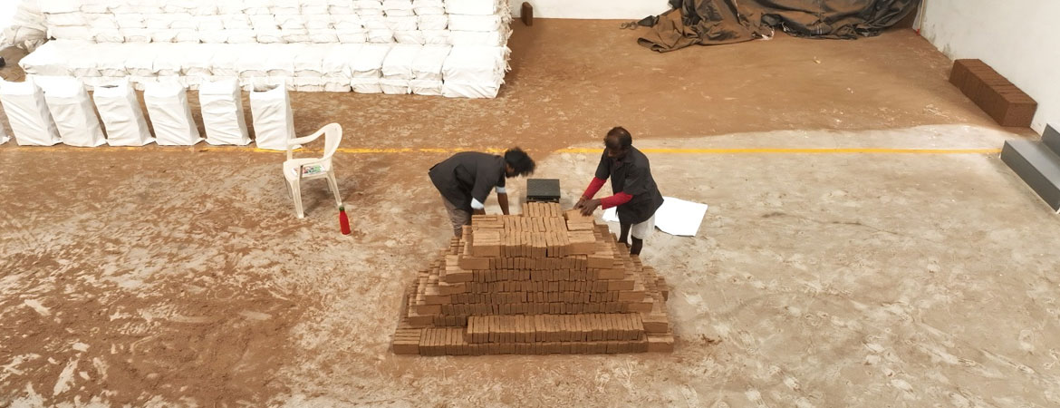 Top Benefits of Using Cocopeat Blocks and Briquettes in Farming