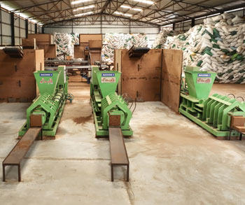 Coco Chips for Orchids and Landscaping: A Complete Guide