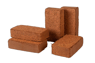 650g Cocopeat Briquettes
