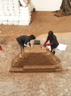 650g Cocopeat Briquettes