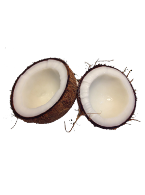 Coconut & By-products
