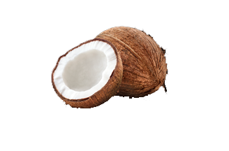 Coconut & By-products
