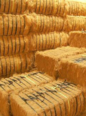 Coir Fibre Export