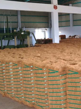 Coir Fibre Export
